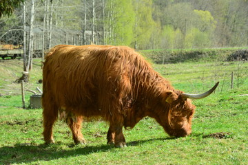 Landschaft im Erzgebirge