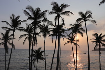 Fototapeta na wymiar Coconut Hill Mirissa coucher de soleil Sri Lanka