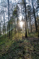 Hochsitz am Waldrand
