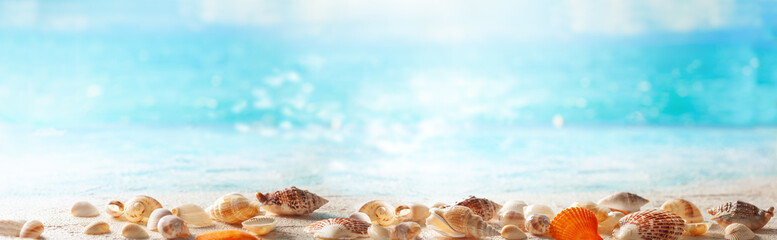 Beautiful sand beach background with seashells on the seashore. Copy space for text. - obrazy, fototapety, plakaty