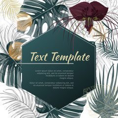 Colorful green design template. Dark purple Tacca flower and monstera leaves background. © Elena