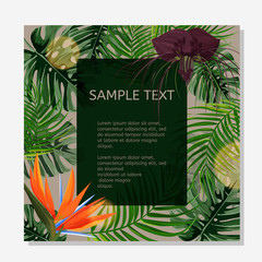 Colorful design poster. Exotic tropical leaves and flowers with text area.