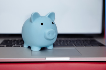 Laptop device and money box piggy in the pink room
