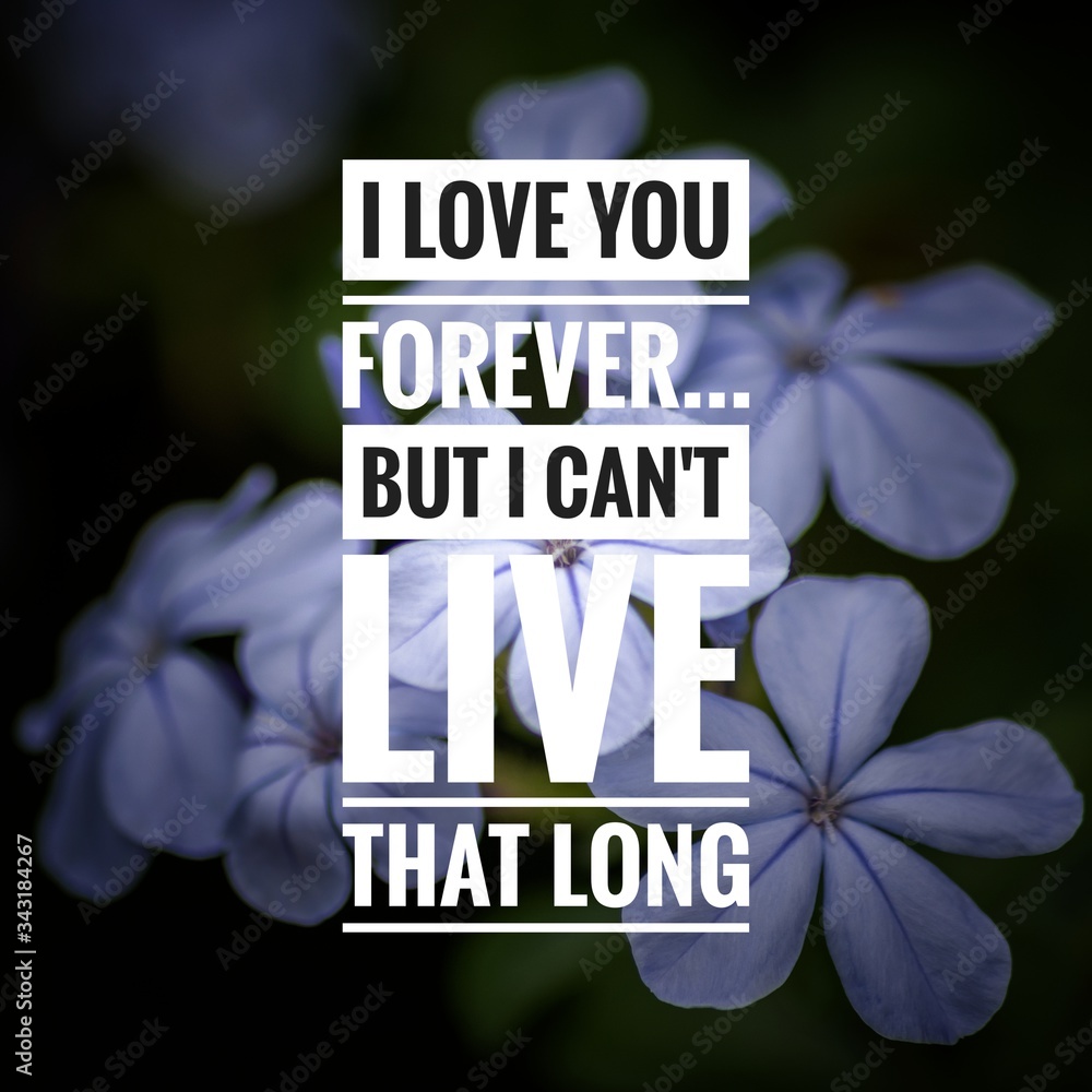 Wall mural motivational and inspirational quote - i love you forever but i can't live that long.