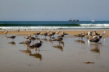 View of the coastline.