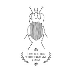Ground beetle sketch. Linear graphic.Vector illustration.