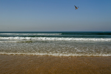 Coastline of Atlantic ocean.