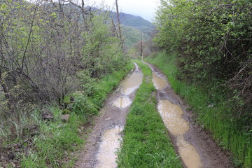 After the rain, the puddles filled with water. Next to the road are rocks and plants with thorns. Everyone will have to move through puddles. These are our conditions.