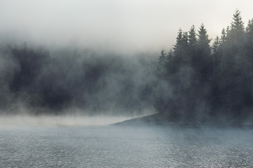 Early morning with dense fog over a quiet lake at the top of the mountain surrounded by the mysterious forest of firs and spruces in the heart of Apuseni Mountains in Romania.