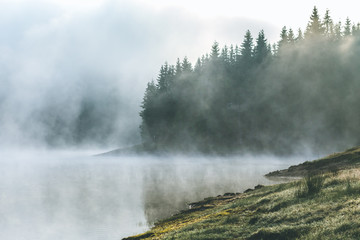 Dramatic foggy morning by the mountain lake with spruce forest outline in the background. Misty...