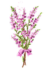 Bunch of Heather, purple flowers, a symbol of good luck - obrazy, fototapety, plakaty