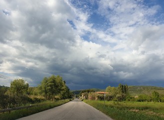 Strada di campagna primaverile