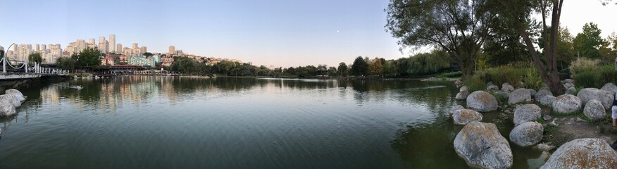 reflections in the water