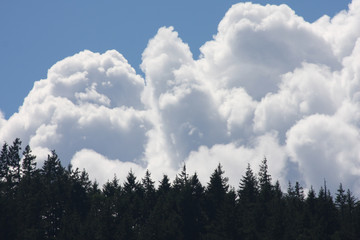 Fototapeta premium Thunder clouds looming