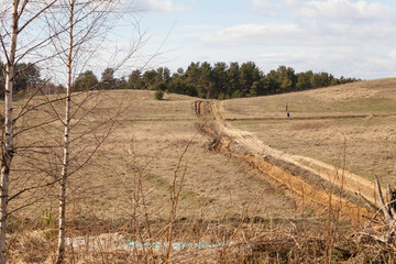 Fototapeta na wymiar Landscape with field and forest
