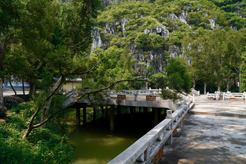 Fototapeta na wymiar walking bridge among the lake in the park