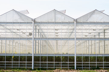 Fototapeta na wymiar Exterior of a greenhouse made of glass