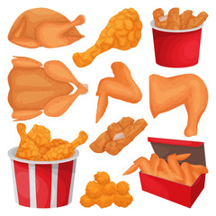 Fried chicken isolated cartoon set icon. Vector illustration crispy wing on white background. Vector cartoon set icon fried chicken .