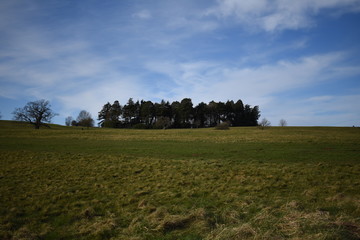 landscape with trees and clouds