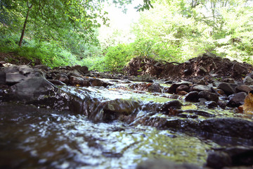 Naklejka na ściany i meble Mountain River in the wood . Forest with waterfall deep rain forest and river stream . Fast jet of water at slow shutter speeds give a beautiful fairy-tale effect. River stones . Azerbaijan, Ismayilli