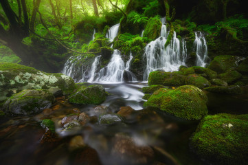 Beautiful tranquil scene summer view of Deep forest mototaki fall in Akita prefecture in Japan