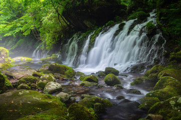 Fototapeta na wymiar Beautiful tranquil scene summer view of Deep forest mototaki fall in Akita prefecture in Japan