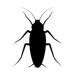 Isolated cockroach icon on white background. Vector black insect silhouette.