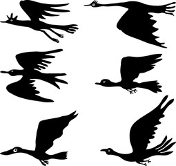 Vector image of set various  flying birds silhouettes