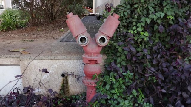 red fire hydrant for double connection on the lawn in the city garden on the background of grass and plants
