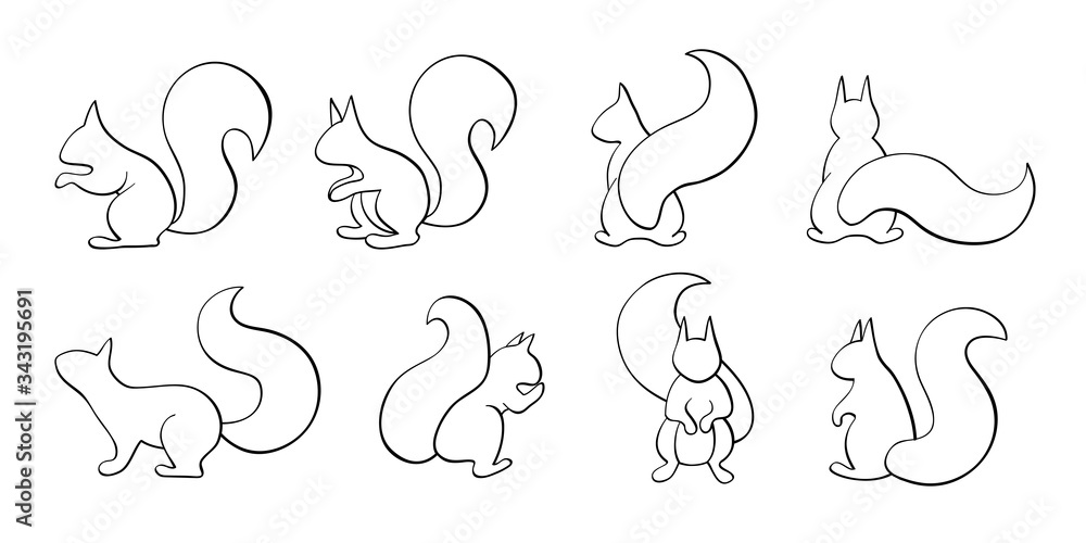 Wall mural Set of squirrel, outline squirrel collection, black calligraphy line art, indifferent position isolated on white background,