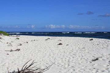 sand beach and sea