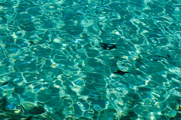 blue water surface