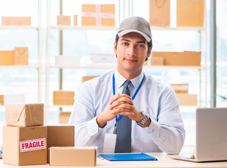 Male employee working in box delivery relocation service