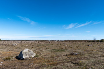 Great plain grassland by blue skies