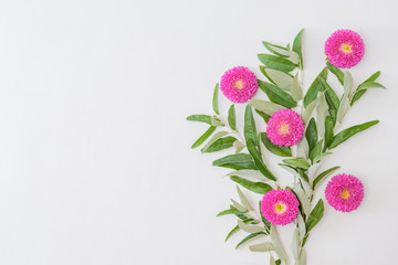 Flat lay frame of flowers and green leaves on a white background