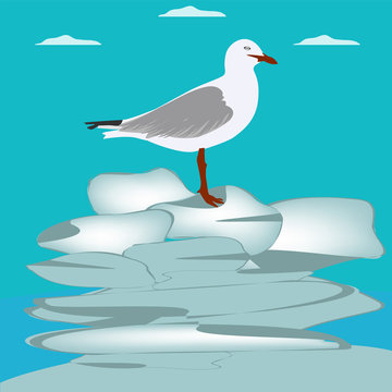 A seagull stands on a stone - a rocky island, water - vector. Travel banner. Travel vacation in exotic countries.