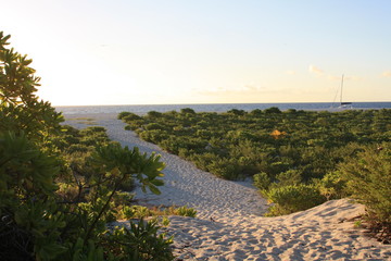 view of the coast of the river