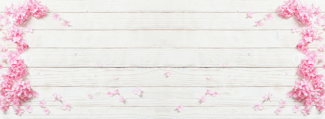 Obraz premium pink hydrangea on white wooden background