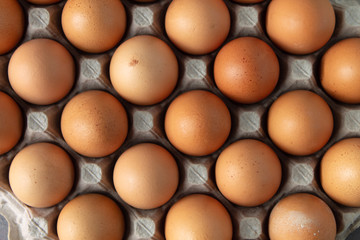 Large flat of brown eggs