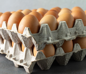 Large flat of brown eggs