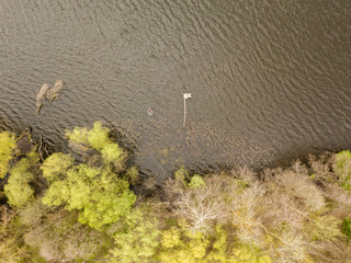 Shore of a forest lake. Fishing pier on the lake. Aerial drone view.