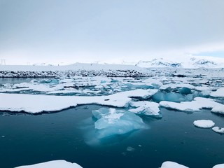 Kry w lagunie lodowcowej Jökulsárlón na Islandii - obrazy, fototapety, plakaty