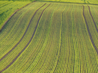 Ackerbau im Frühjahr