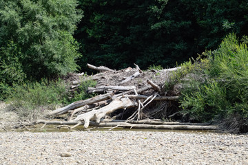 Branches piled up in pile brought by rain.