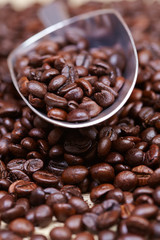 coffee beans