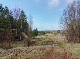 Fototapeta premium a road running between trees through a puddle against a blue spring sky