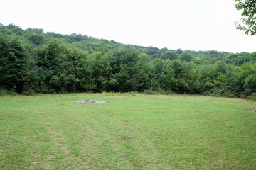 Clearing in the forest in the mountains of Caucasus. Near the village of Shapsugskaya.