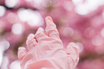 Hand in pink medical glove on background of blooming pink sakura trees during virus outbreak. Social distancing, stay away. Prevention and protection