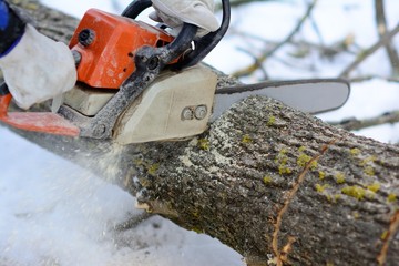 powerful chainsaw professionals