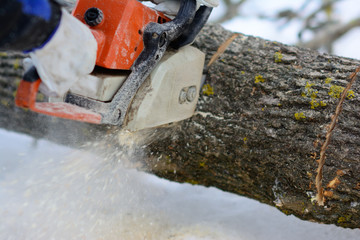 powerful chainsaw professionals